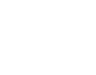 icon - factsheet@2x