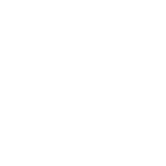 icon_initiatives